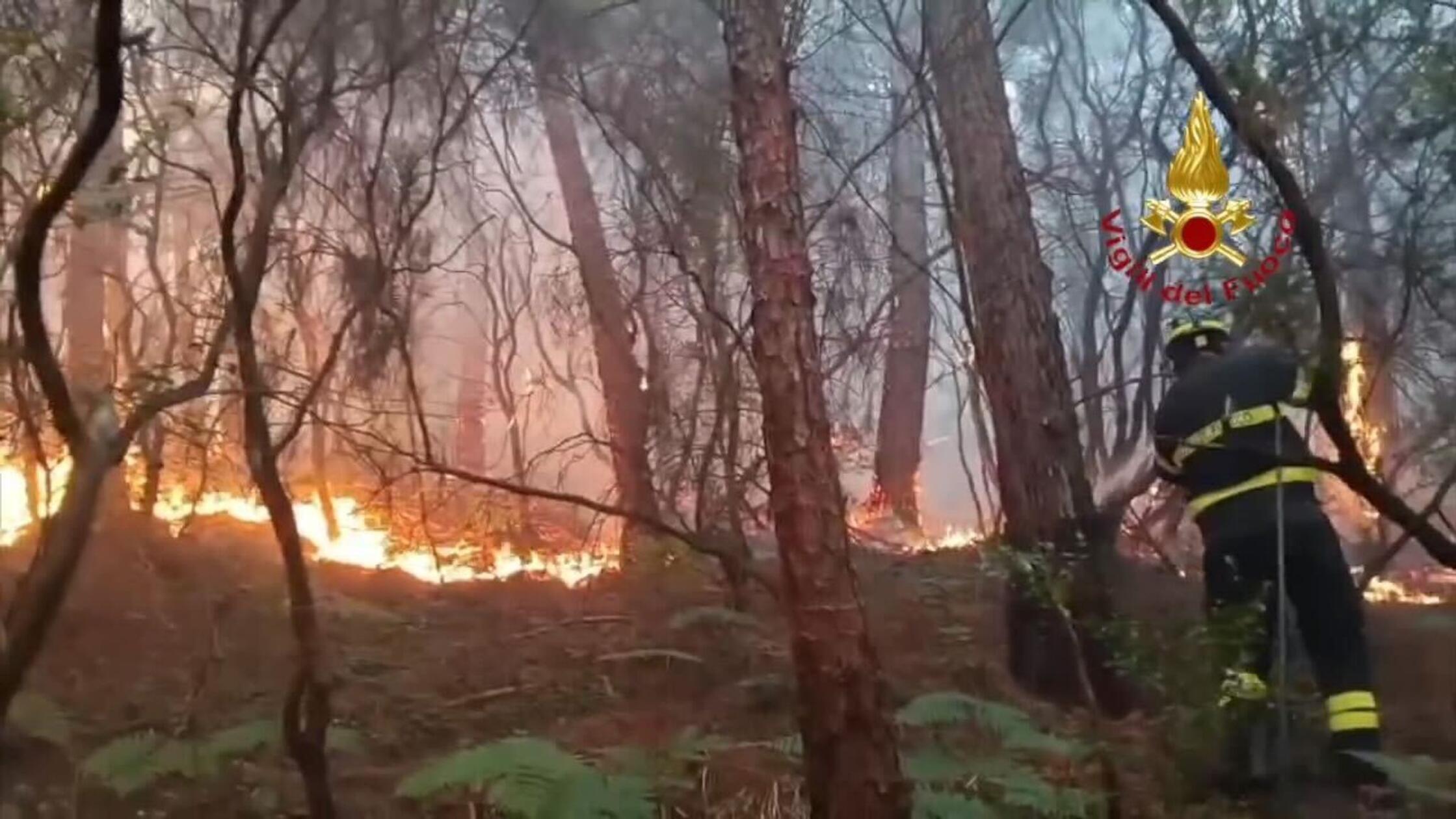 Auf diesem Bild aus einem Video der italienischen 
