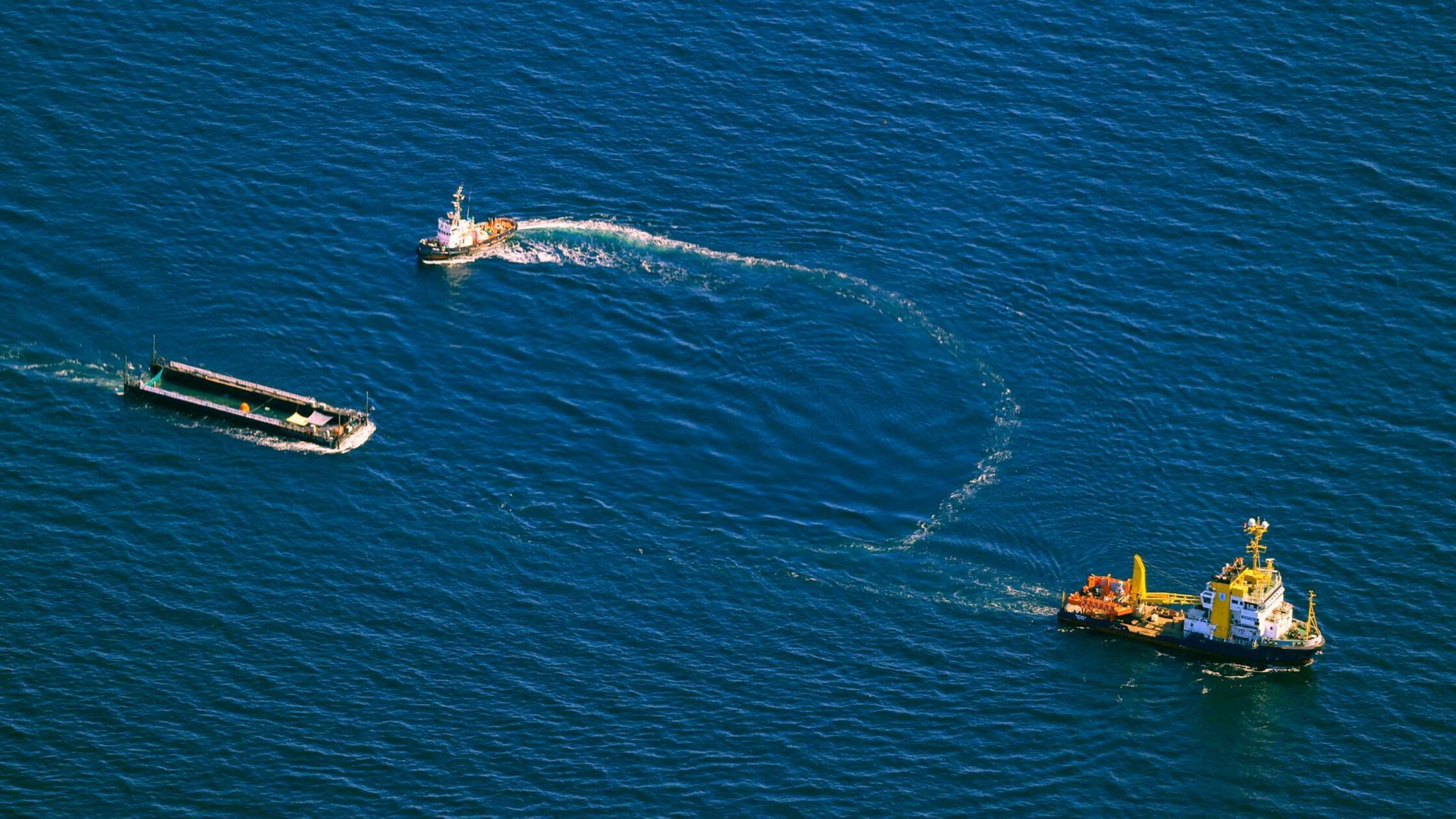 Der Buckelwal wird in seiner Barge vom Schlepper F