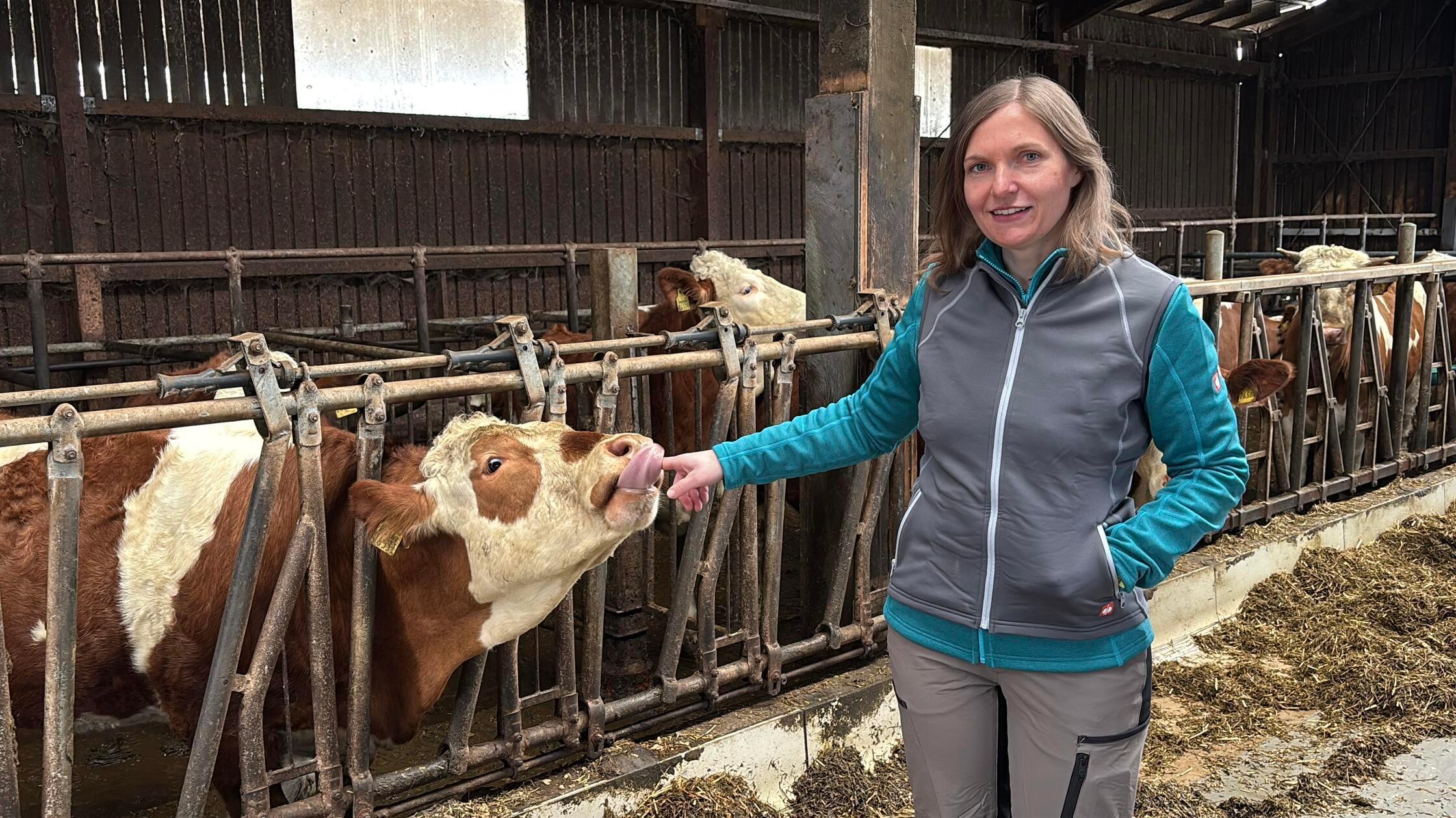 Milchviehbetrieb Susanne Loy Landwirtin März 2024