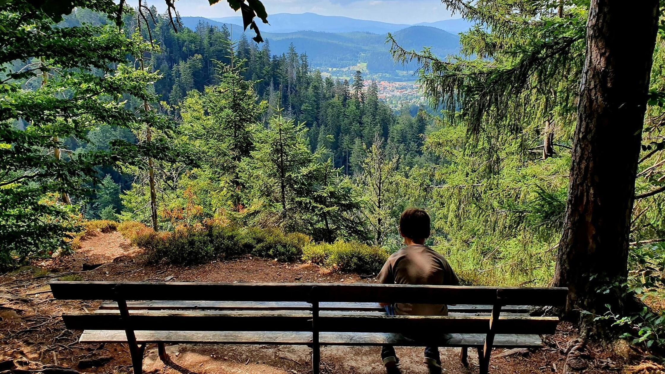 Eine einsame Holzbank lädt auf einer Anhöhe dazu ein, den Blick weit über das Arberland schweifen zu lassen.