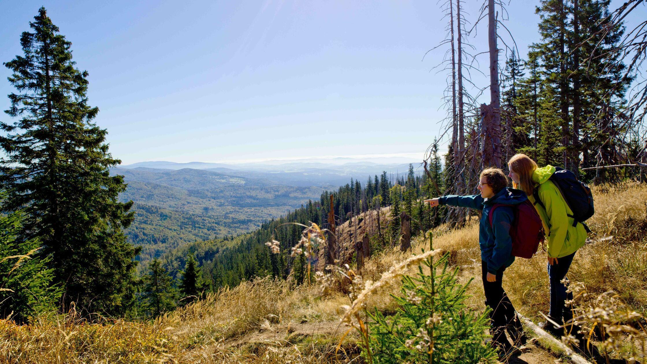 Zwei Wanderer genießen die Aussicht auf einem der zahlreichen Pfade im Nationalpark Bayerischer Wald.