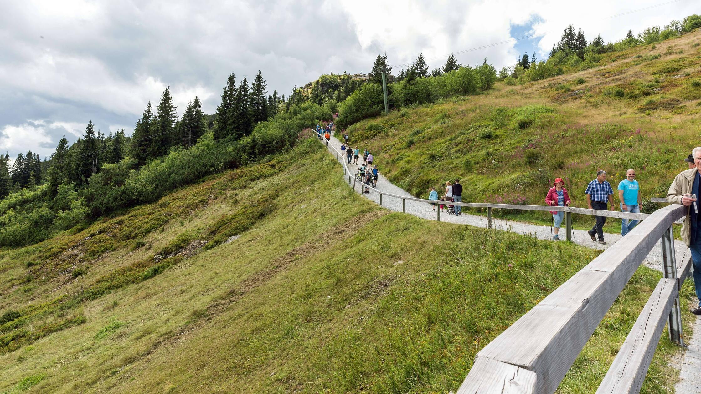 Weg auf den Gipfelbereich des Grossen Arbers im Bayerischen Wald.