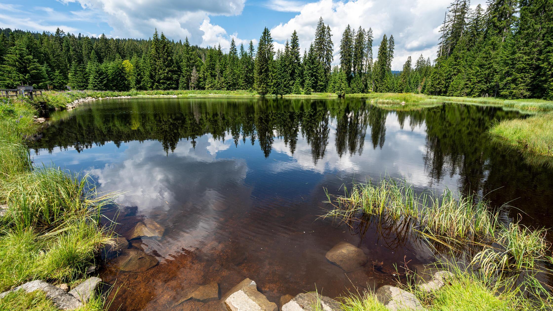 Die Hammerklause im Erweiterungsgebiet des Nationalparks Bayerischer Wald.