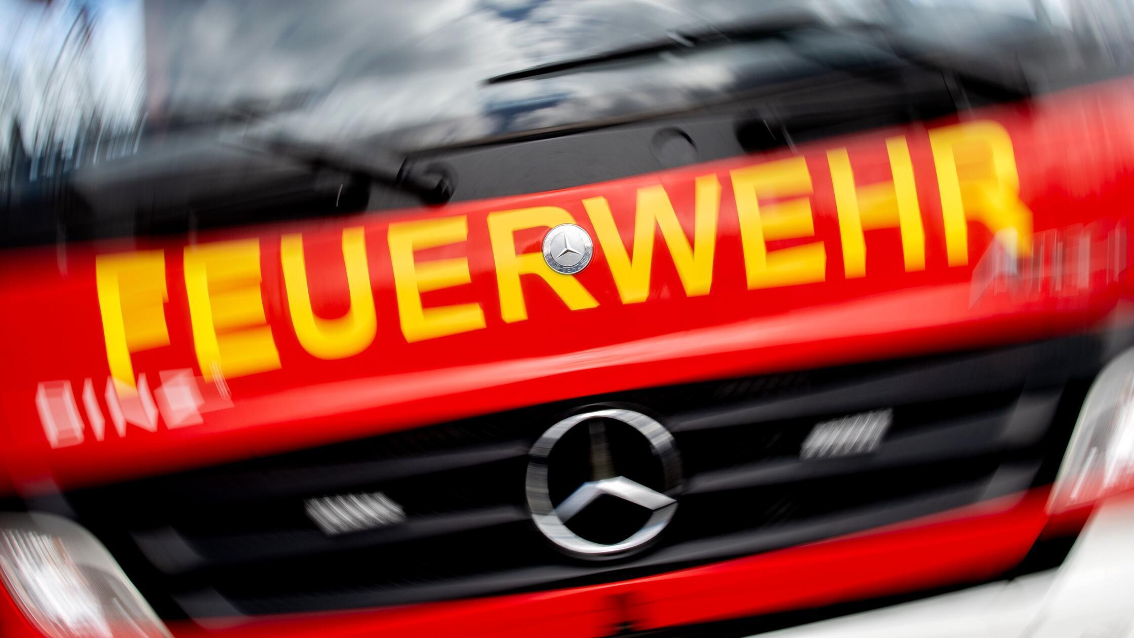ARCHIV - 24.03.2023, Niedersachsen, Bad Zwischenah
