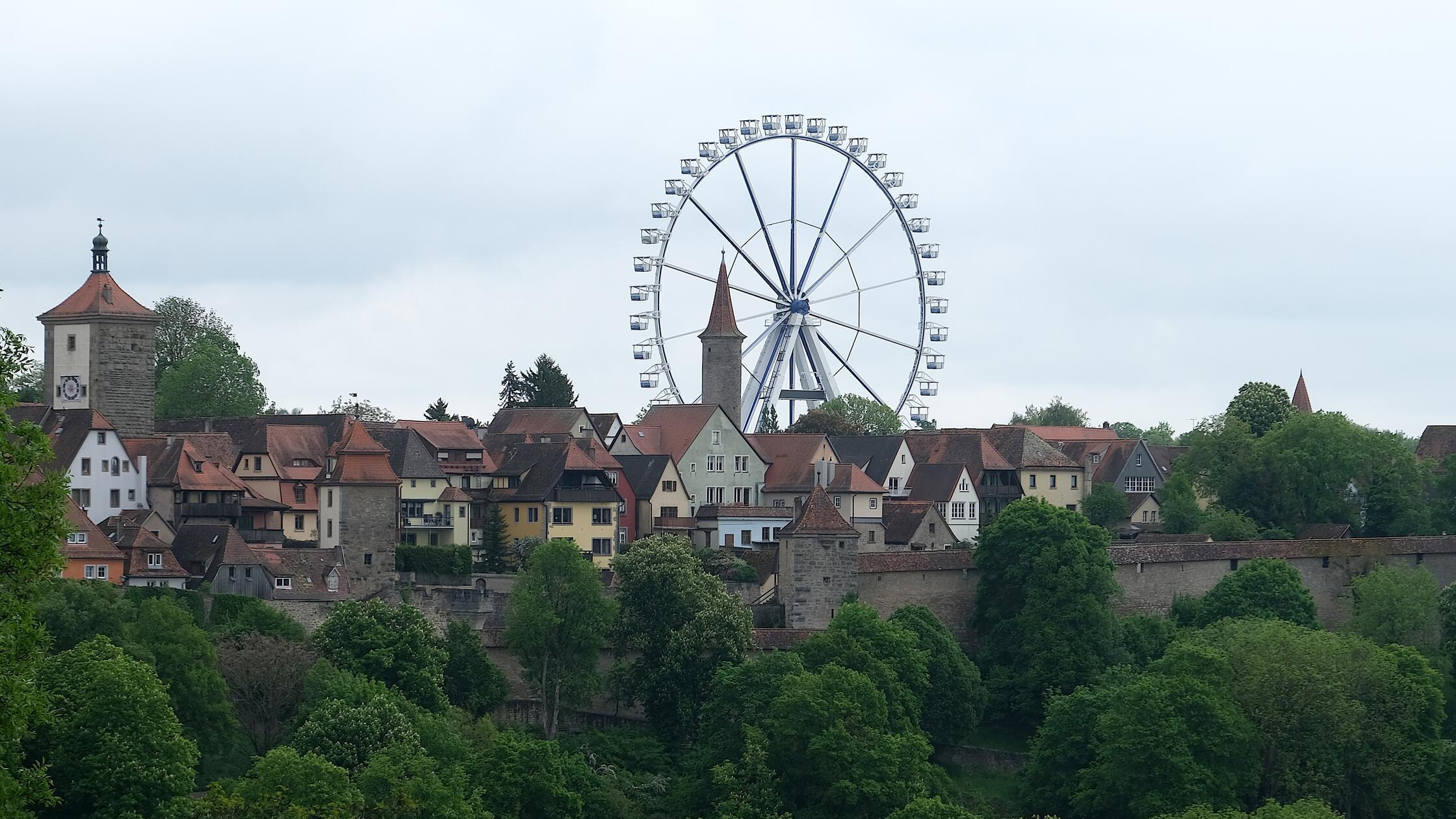 DSCF3693 Kopie (1)
