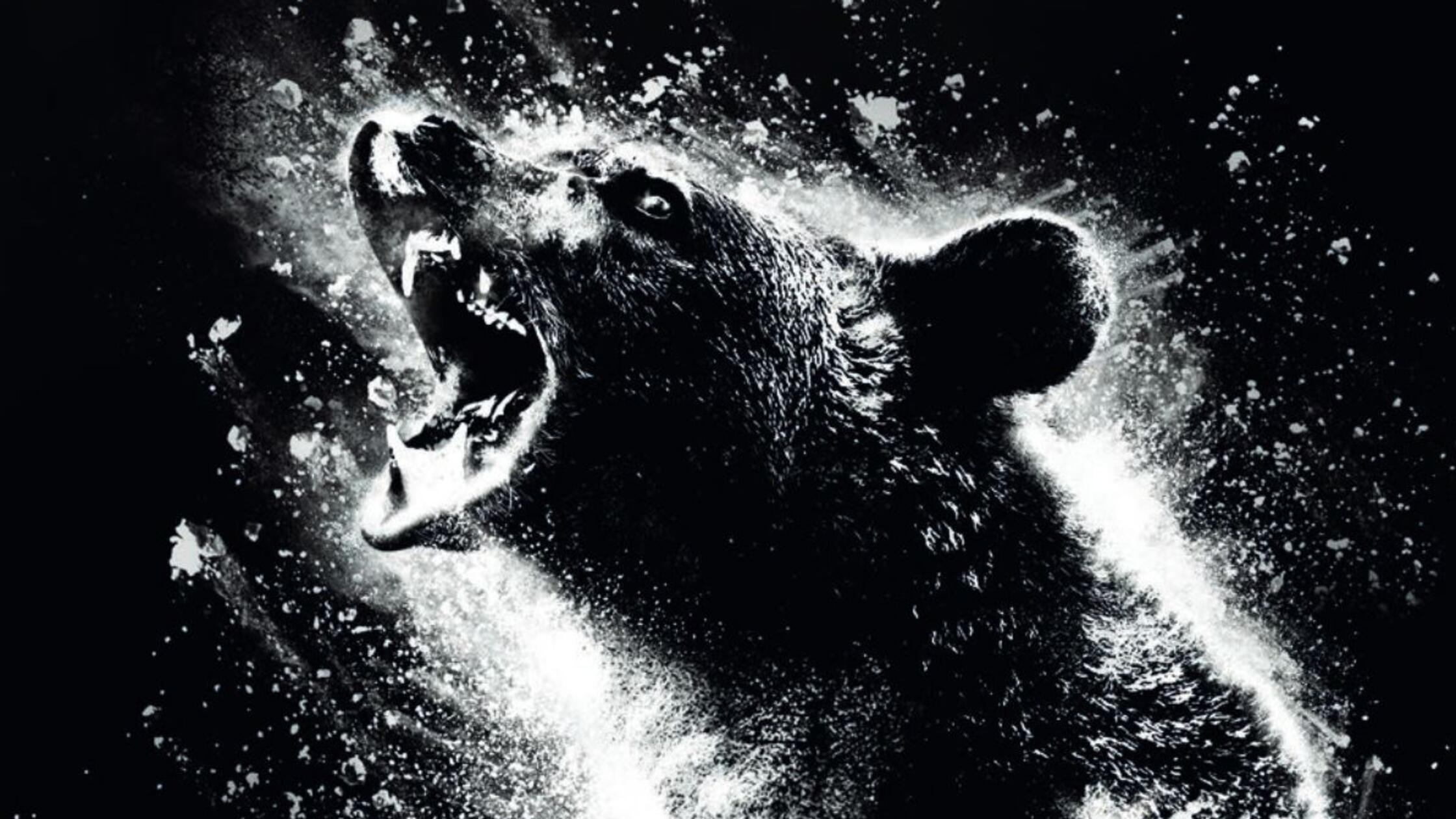  - Cocaine Bear