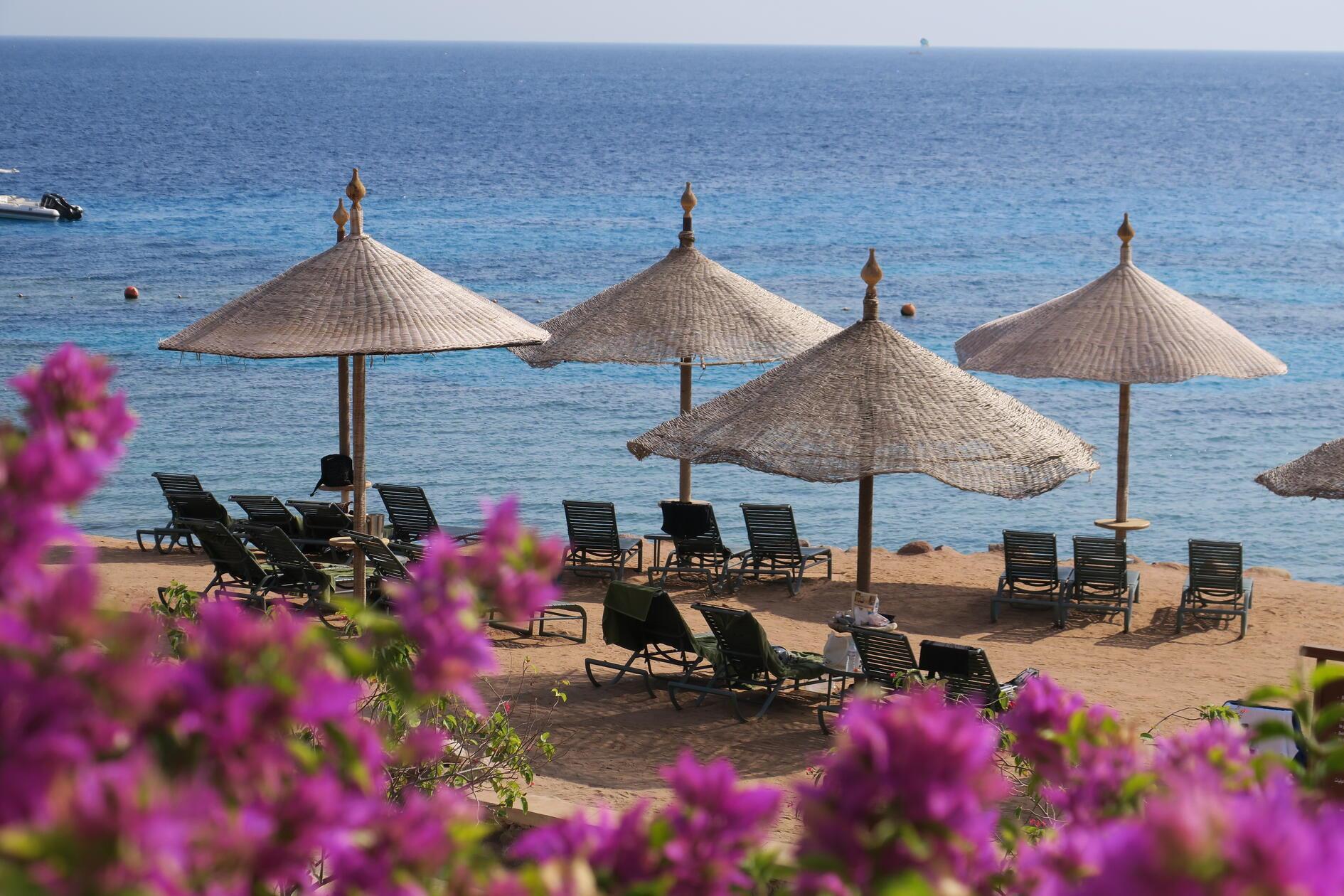 Auch das Auswärtige Amt hat eine Teilreisewarnung für Ägypten ausgesprochen und warnt weiterhin vor Reisen in den Norden der Sinai-Halbinsel, in das Grenzgebiet zu Israel mit Ausnahme von Taba sowie in abgelegene Wüstenregionen der Sahara. Zudem wird von individuellen Ausflügen und Überlandfahrten im Süden der Sinai-Halbinsel abgeraten. 