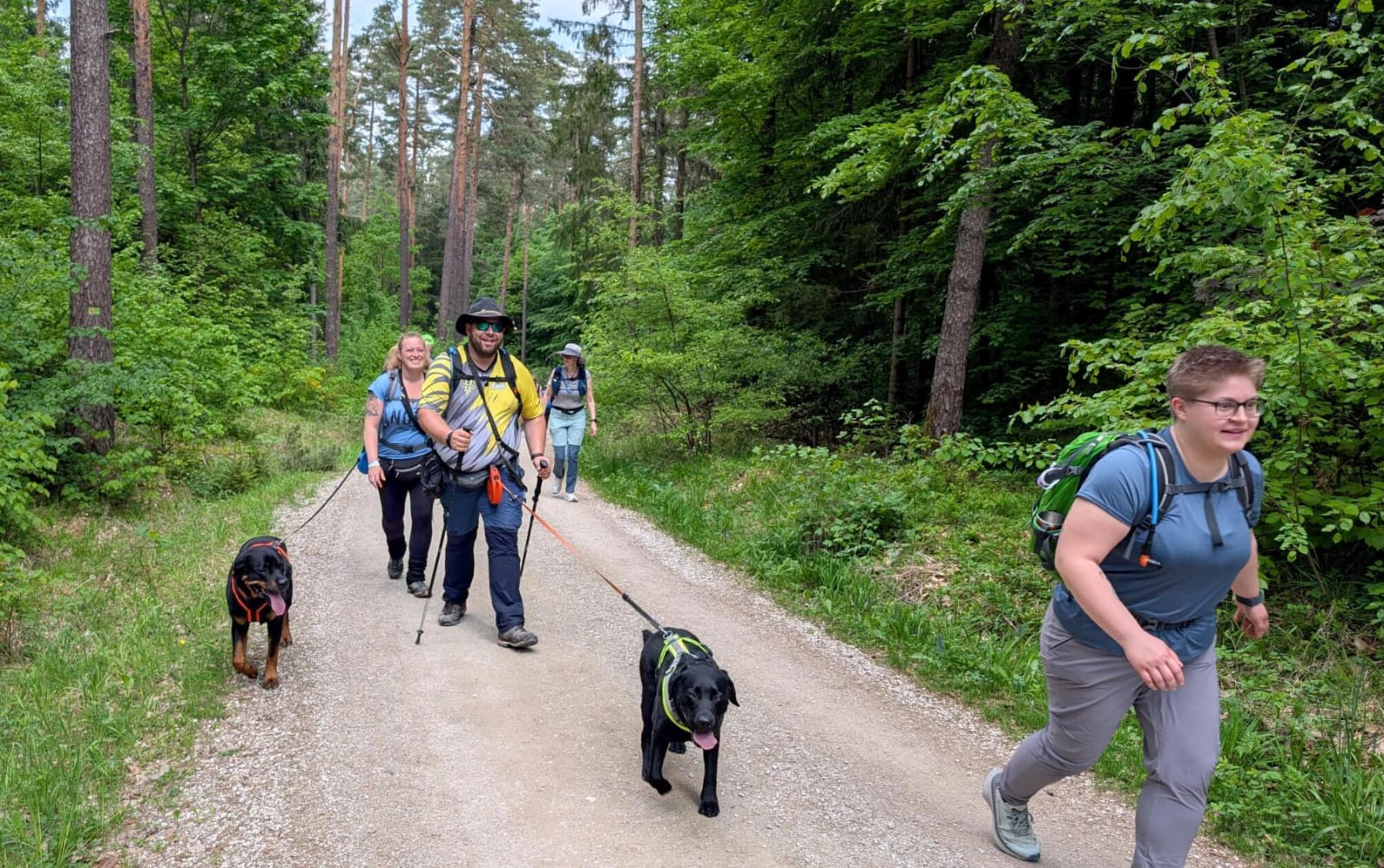 Ein paar Vierbeiner sind auch als emotional support mit vor Ort und wandern tapfer mit.