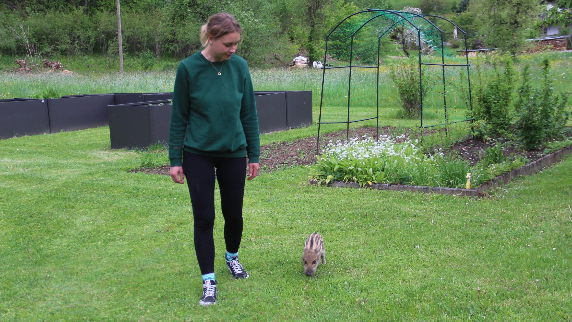How the little wild boar Rudolf turns a family's everyday life in ...