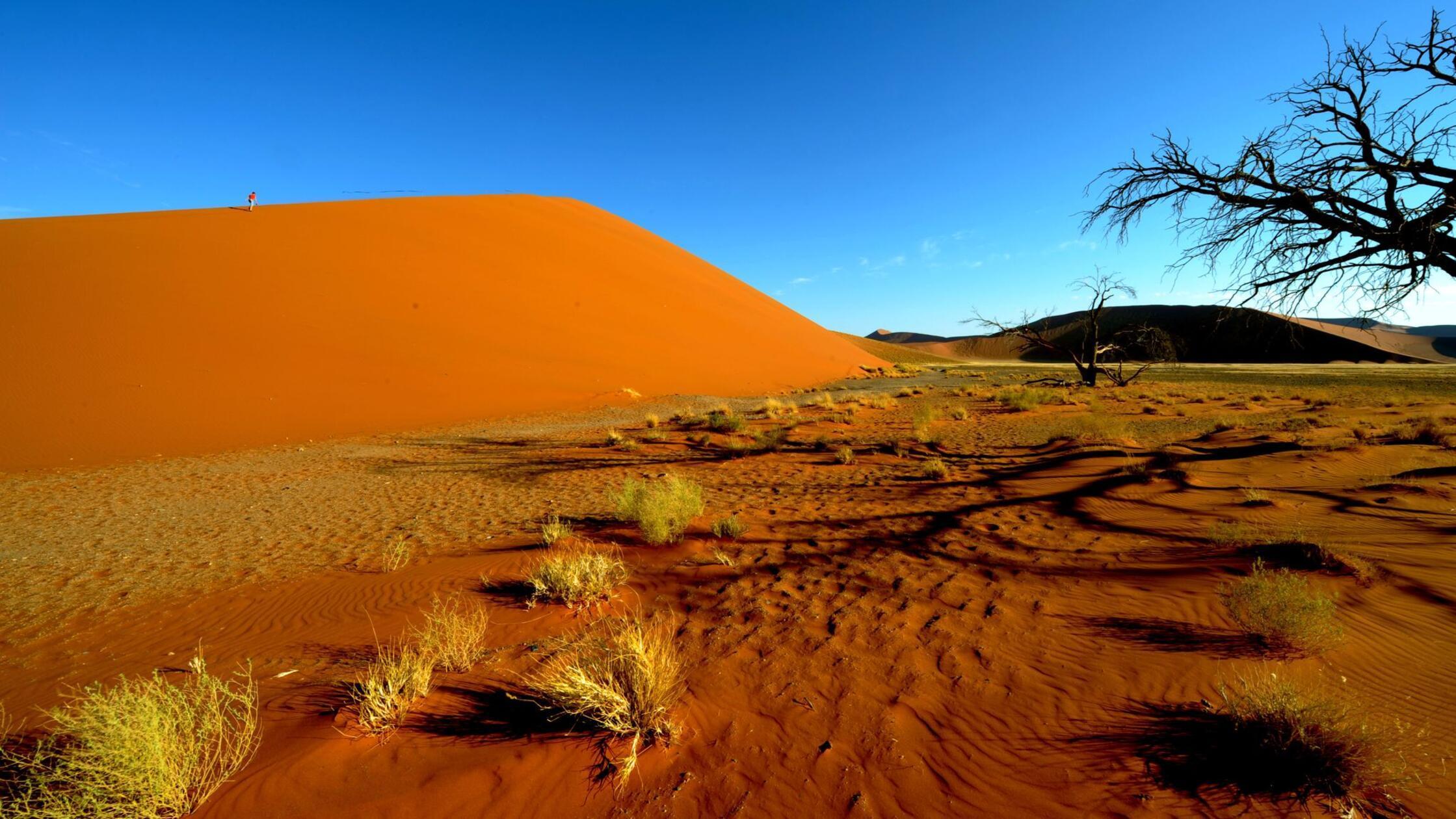 ARCHIV - Dünen in Sossusvlei nahe Sesriem im Namib