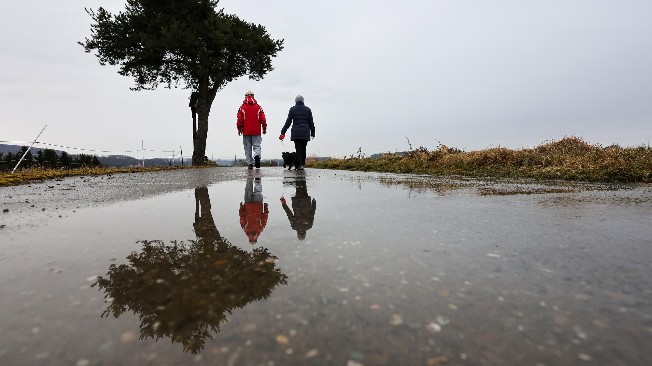 Spaziergänger sind mit ihrem Hund im Regen unterwe