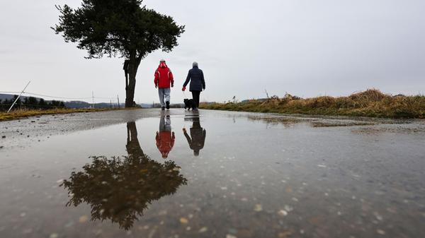 Spaziergänger sind mit ihrem Hund im Regen unterwe