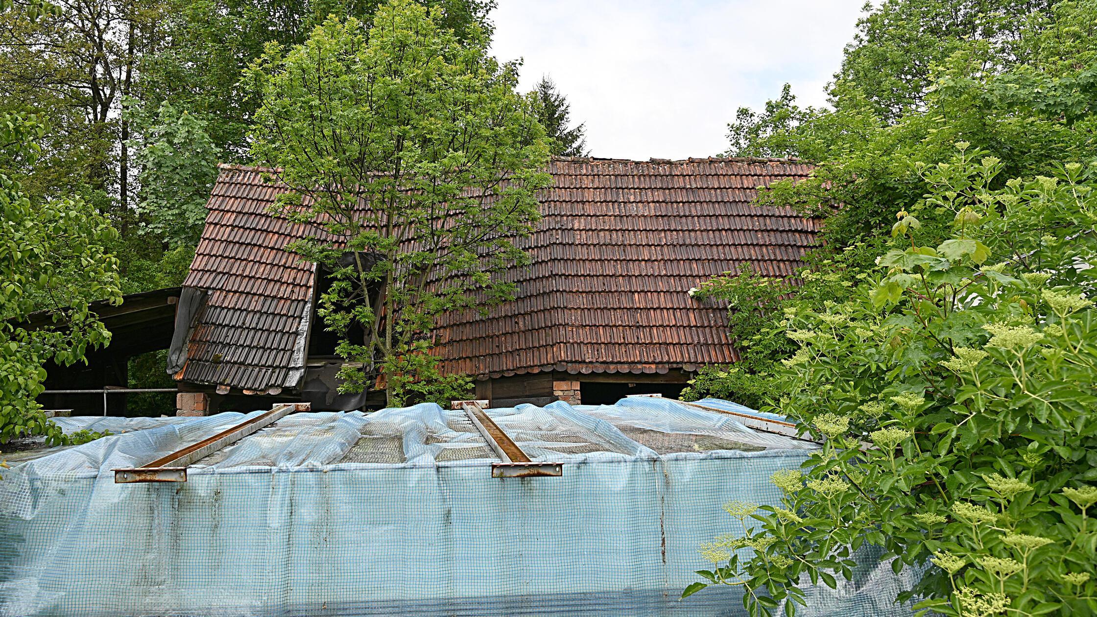 AlteMuehleWeißenohe04