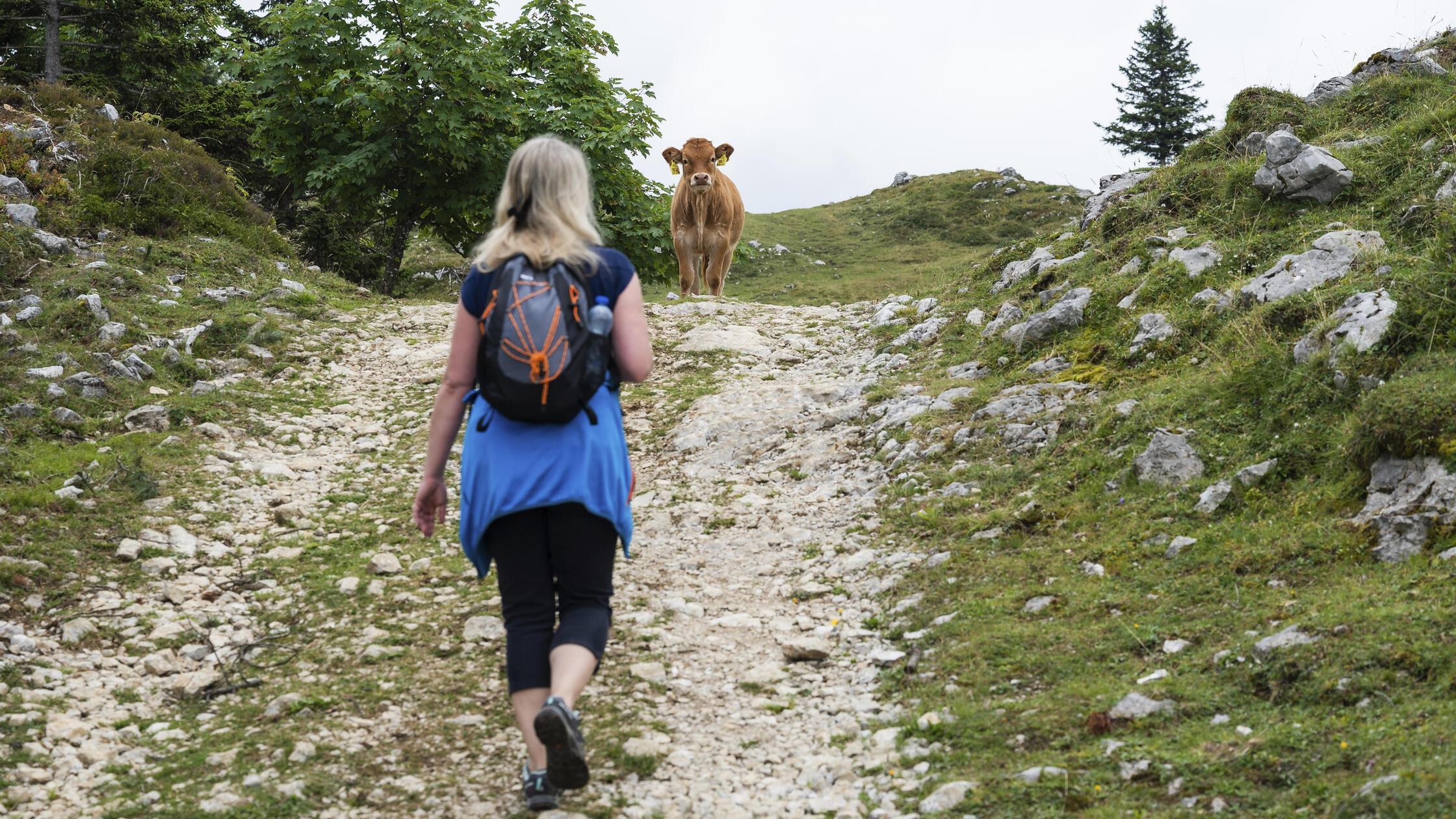 Eine Wanderin mit Rucksack geht einen felsigen Ber