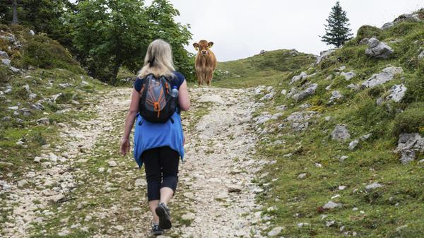 Eine Wanderin mit Rucksack geht einen felsigen Ber