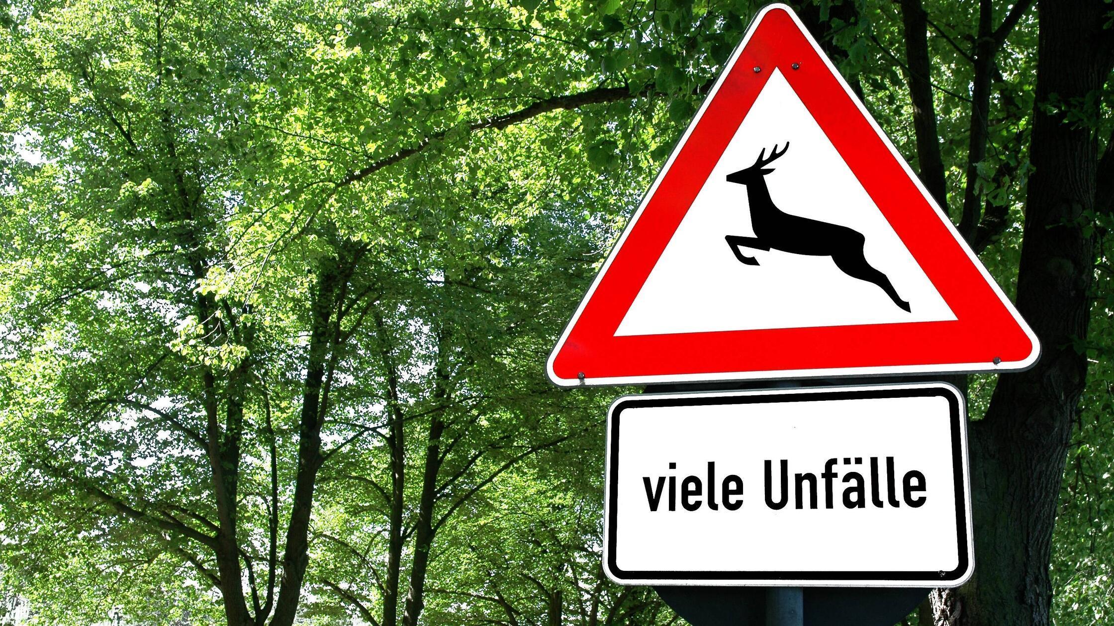 Bildnummer: 50836988  Datum: 10.06.2005  Copyright