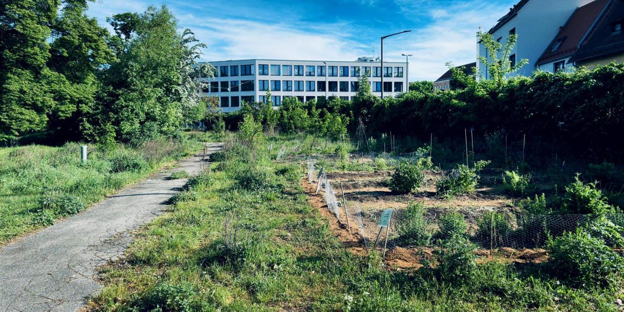 Interim use instead of new Ohm building: Planned research institute in ...