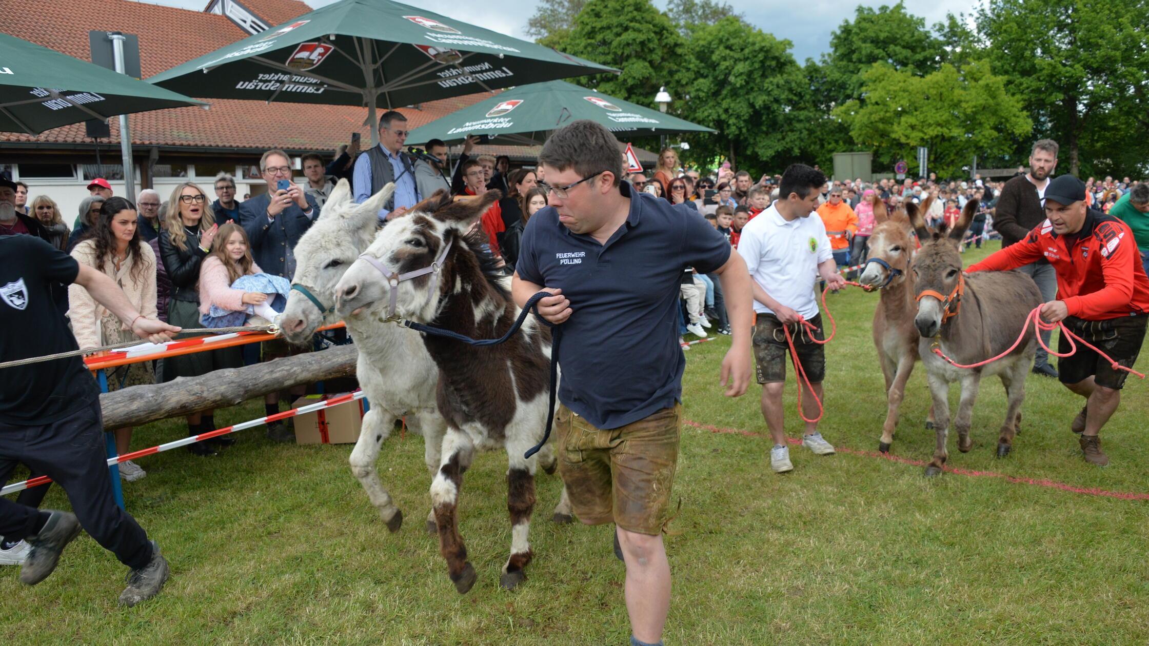 Eselrennen Frühlingsfest Neumarkt 2026