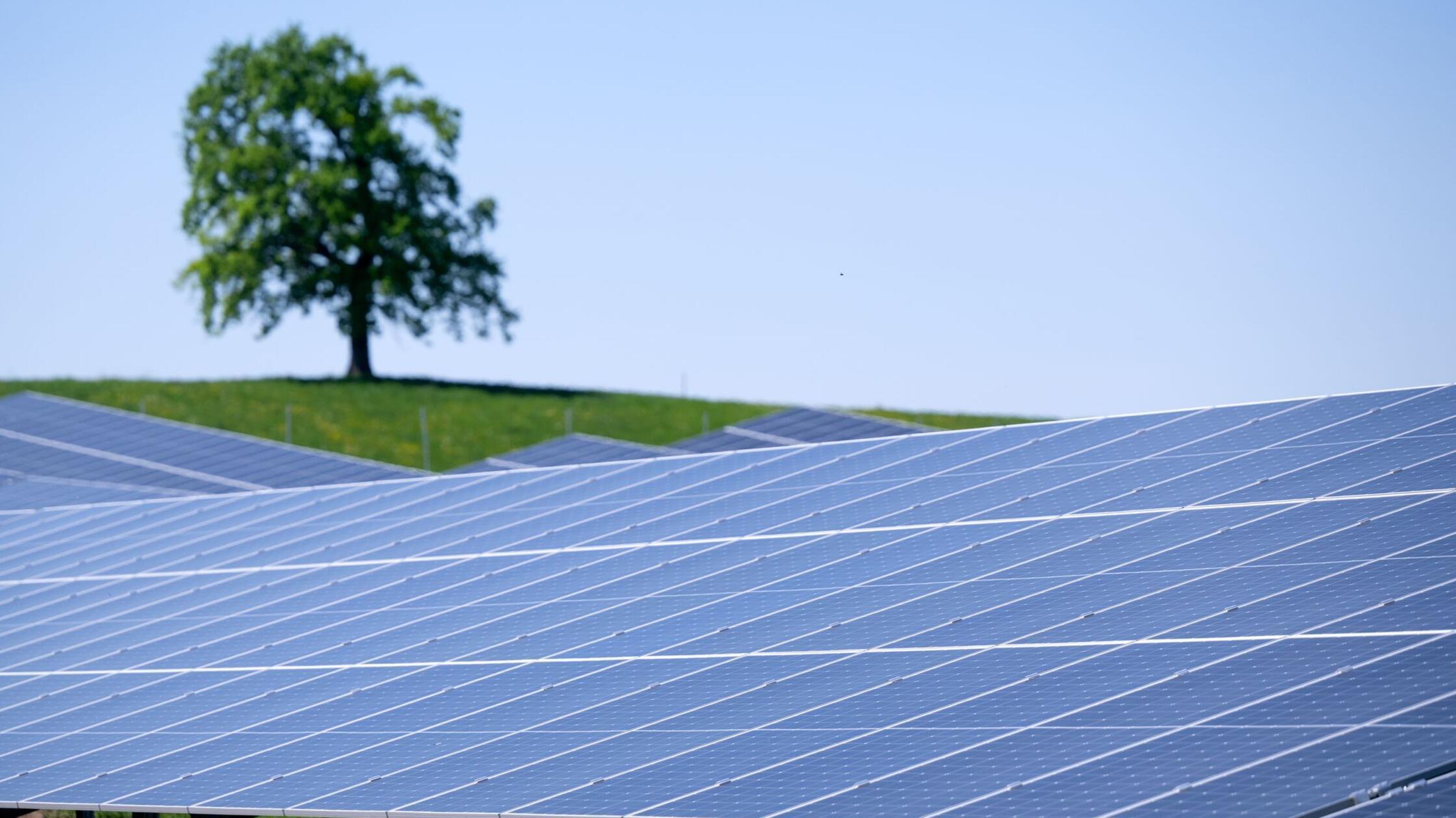 Die Sonne scheint auf einen Solarpark in der Nähe 