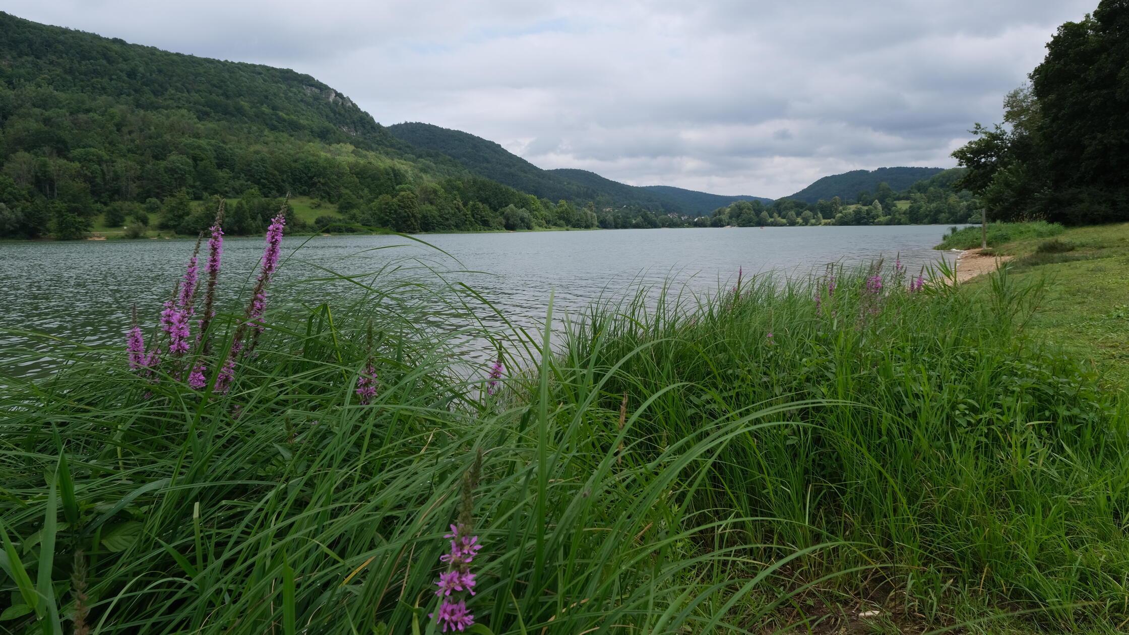 Happurger Stausee-ink-240722 (2)