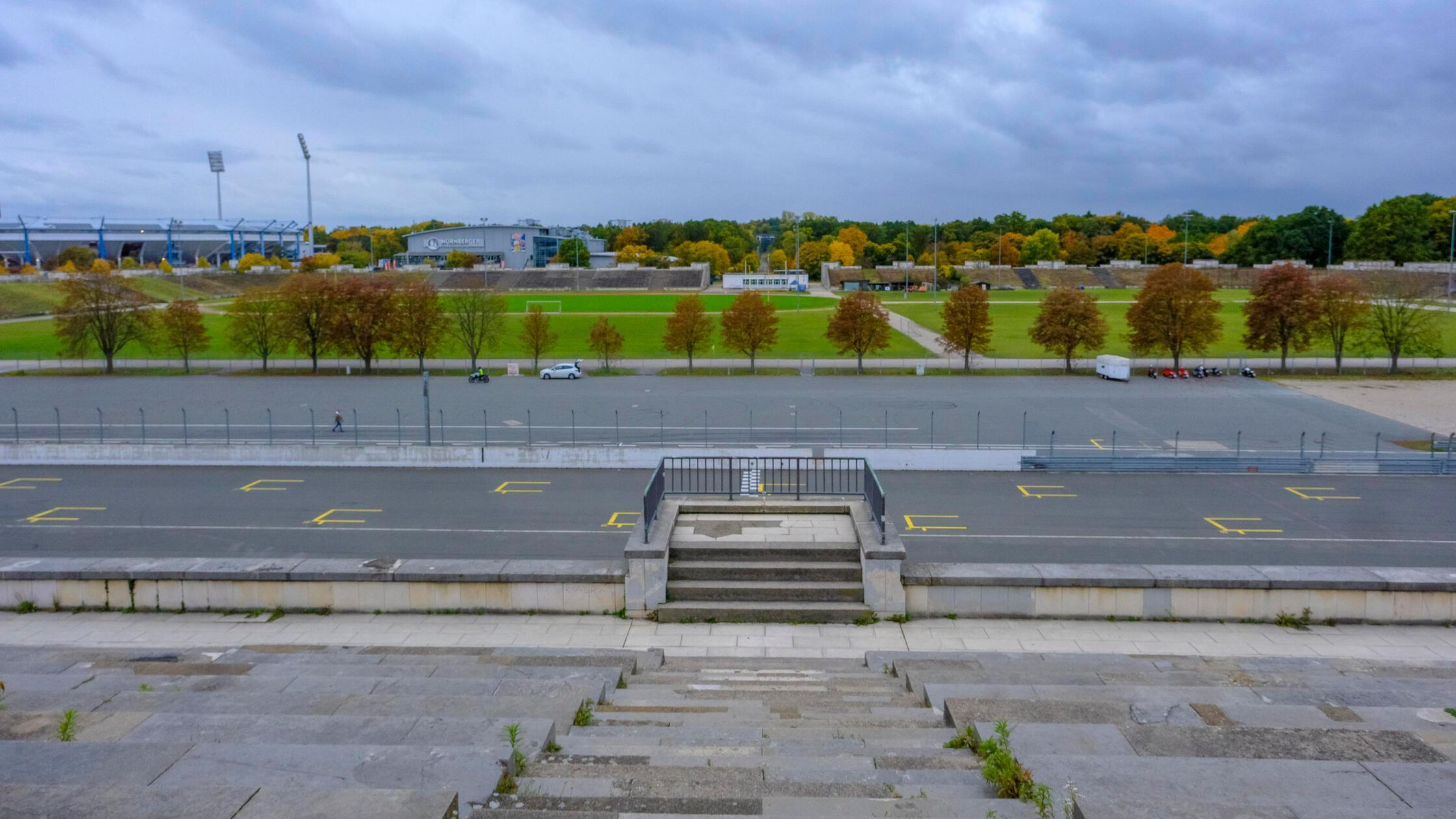 Fällungen am Zeppelinfeld