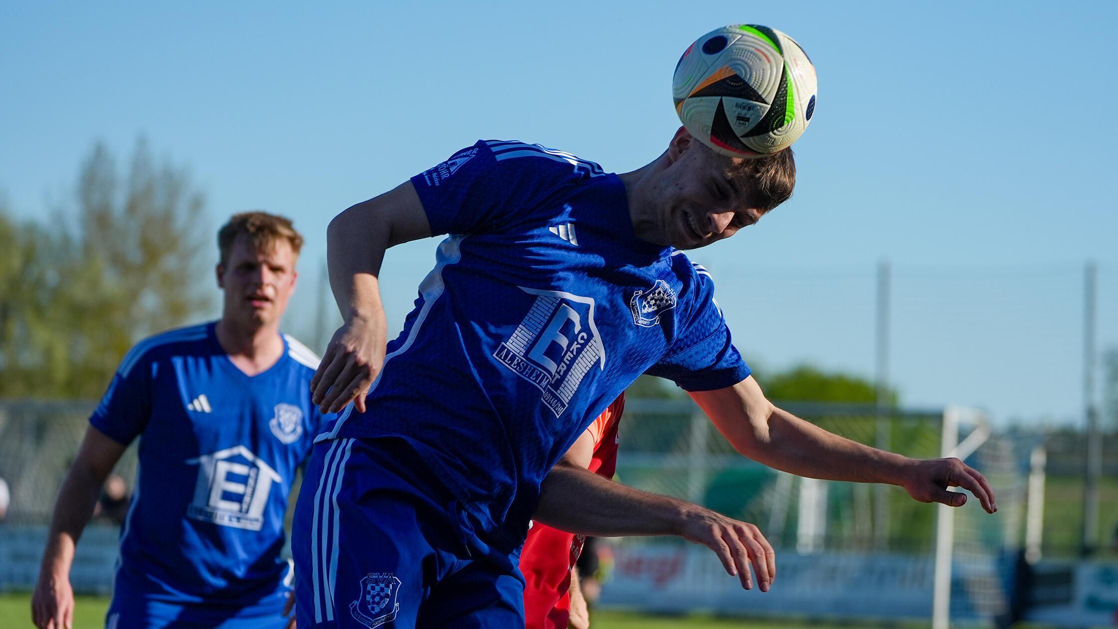 Totopokal-Finale, FC Wendelstein : SV Alesheim