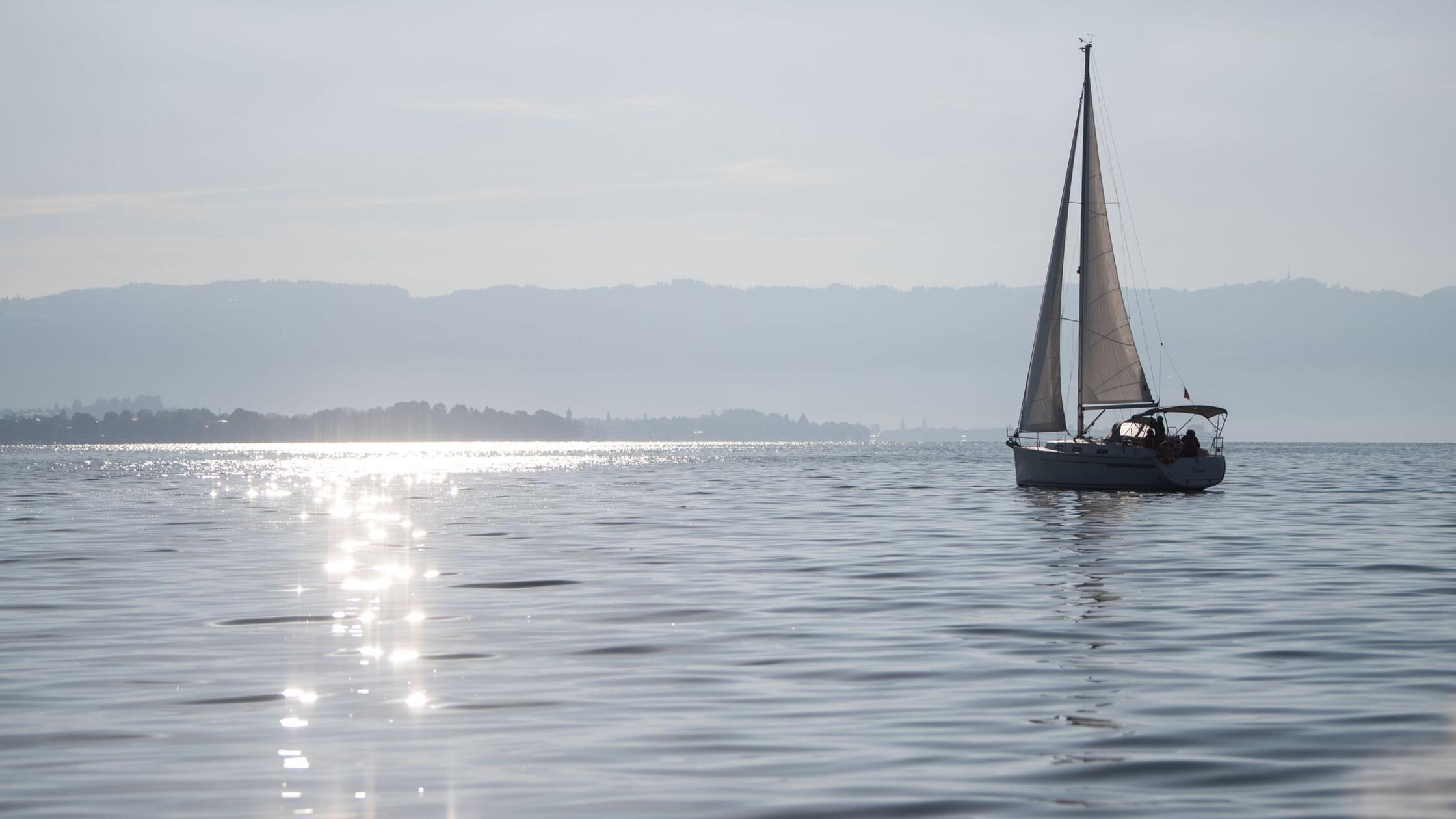 Ein Segelboot fährt auf dem Bodensee, auf dessen W