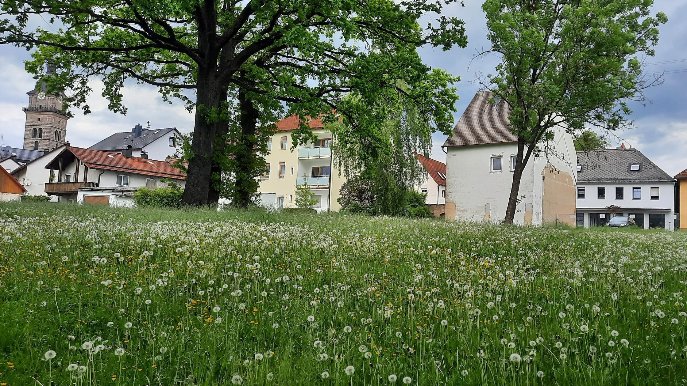 GelaendeStierhaltung_bg_18052026