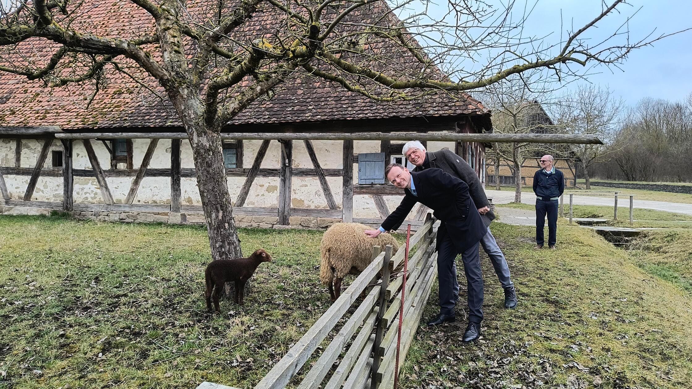 Ins Museum gehen viele Leute bevorzugt bei schlechtem Wetter. In Bad Windsheim ist diese ungeschriebene Regel jedoch außer Kraft gesetzt: Das fränkische Freilandmuseum eignet sich insbesondere an schönen Tagen und in der warmen Jahreszeit für einen Besuch. Es bietet über 100 weitgehend originalgetreu errichtete Mühlen, Brauereien, Bauernhöfe und viele weitere Gebäude. Vom Bahnhof ist es einen guten Kilometer zu Fuß entfernt. Die Anreise ab Nürnberg dauert mit Umstieg in Neustadt/Aisch in der Regel etwas weniger als 55 Minuten und ist stündlich möglich. Alternativ kann über Ansbach und Steinach gefahren werden - dann ist man allerdings länger unterwegs.