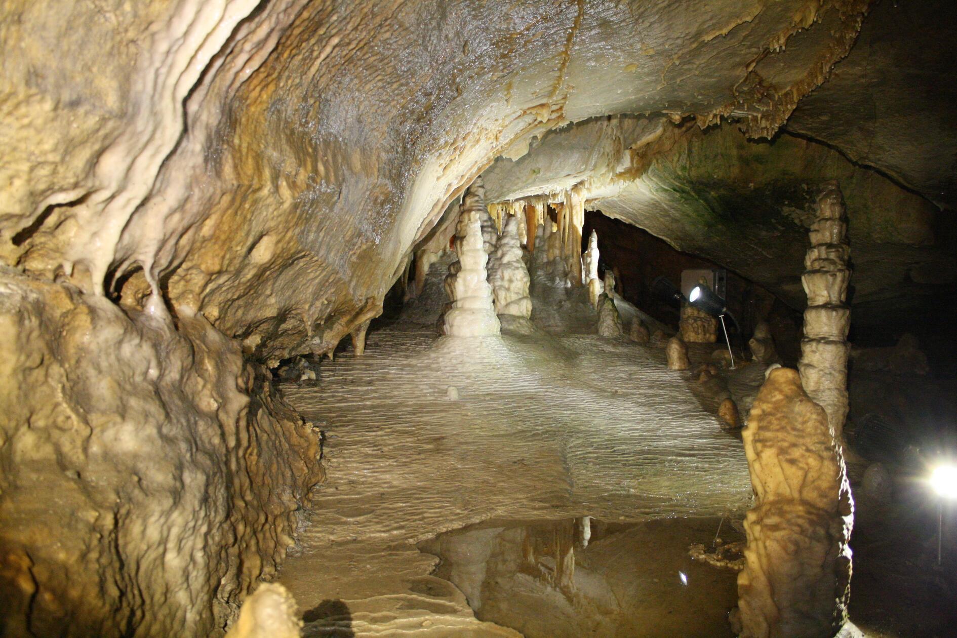 Ebenfalls in der Fränkischen Schweiz bietet die Binghöhle in Streitberg einen Anlaufpunkt für Abkühlung. Laut Webseite beträgt die Temperatur in der Höhle ganzjährig 9 Grad. Während draußen geschwitzt wird, braucht es also drinnen sogar noch eine Jacke. Geöffnet ist die Höhle Dienstag bis Sonntag von 10 bis 17 Uhr.