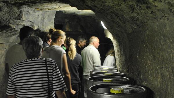 Wer bei der Flucht vor der Hitze Lust auf Kultur und Geschichte hat, kann im Forchheimer Kellerwald fünfig werden. Immer am letzten Sonntag im Monat um 16 Uhr finden die Führungen durch den historischen Untergrund statt. Danach kann man ein kühles Bier oder Radler in einem der zahlreichen Biergärten trinken.