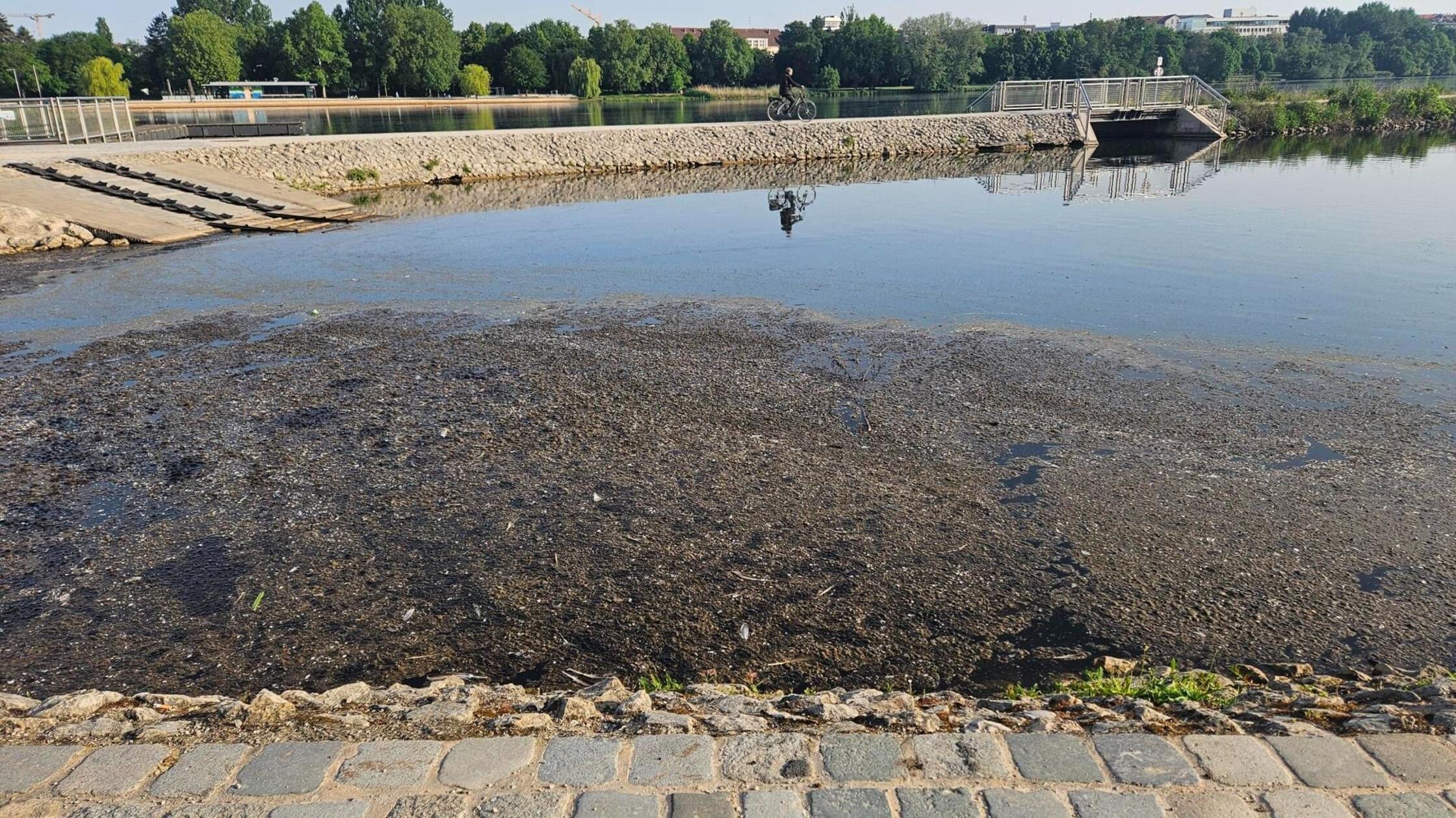 Norikusbucht