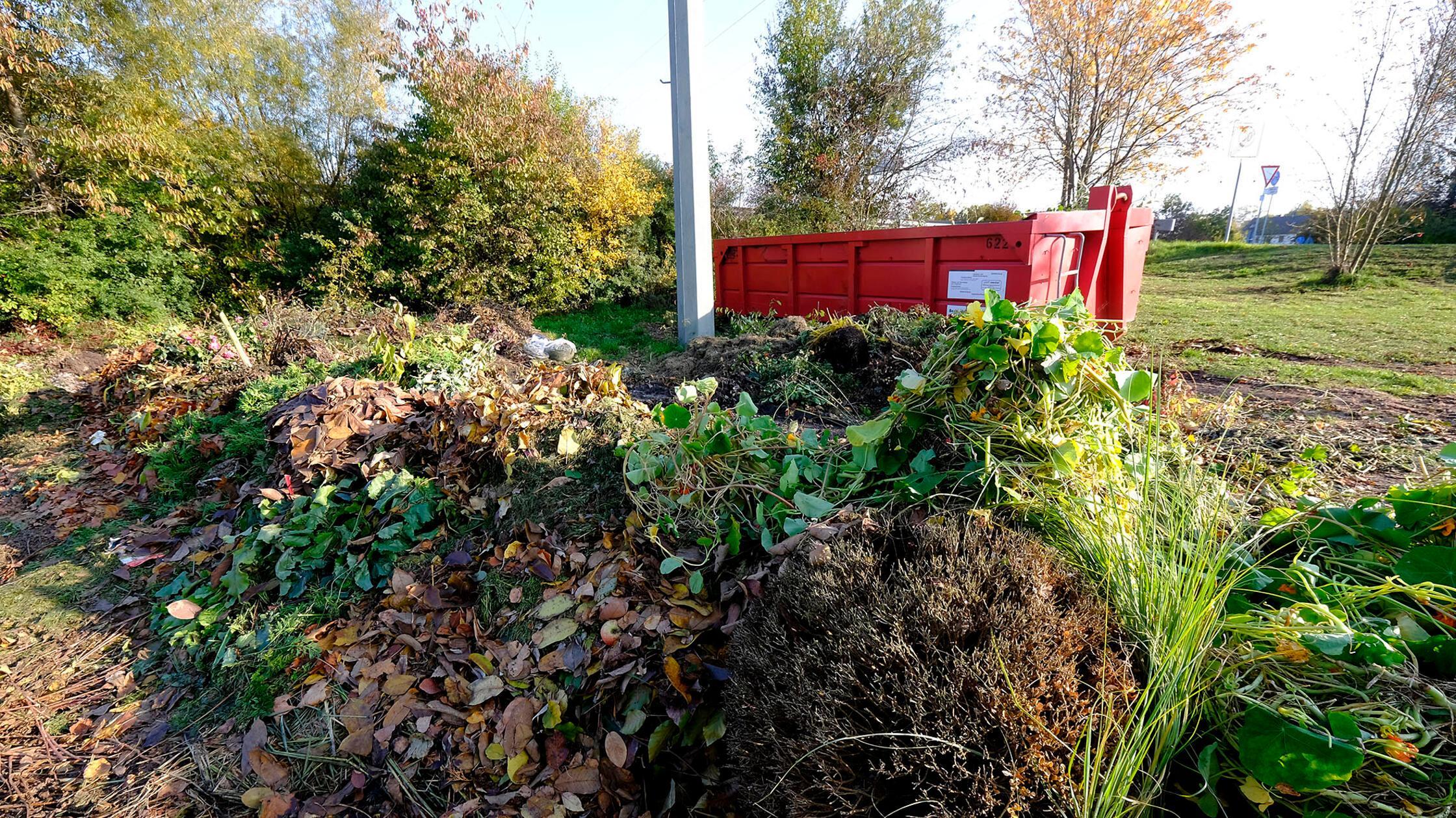 Müllcontainer in Stauf