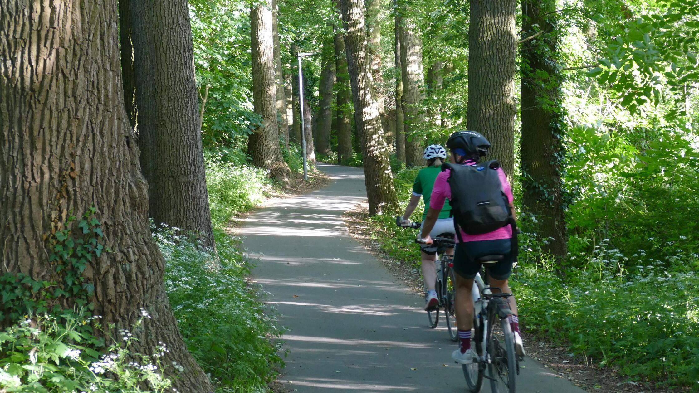 Regnitztalradweg