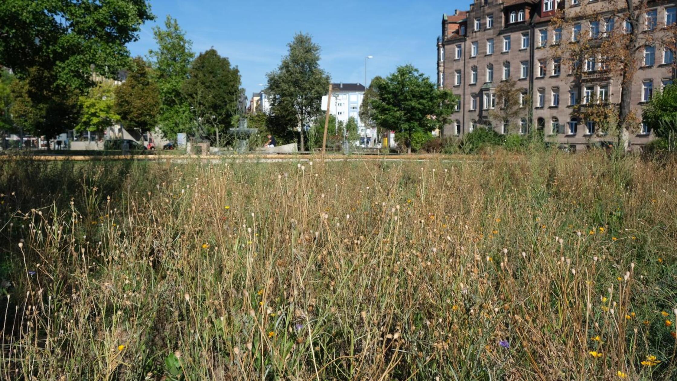 lokales-archivpark-20220824-161425_app11_00