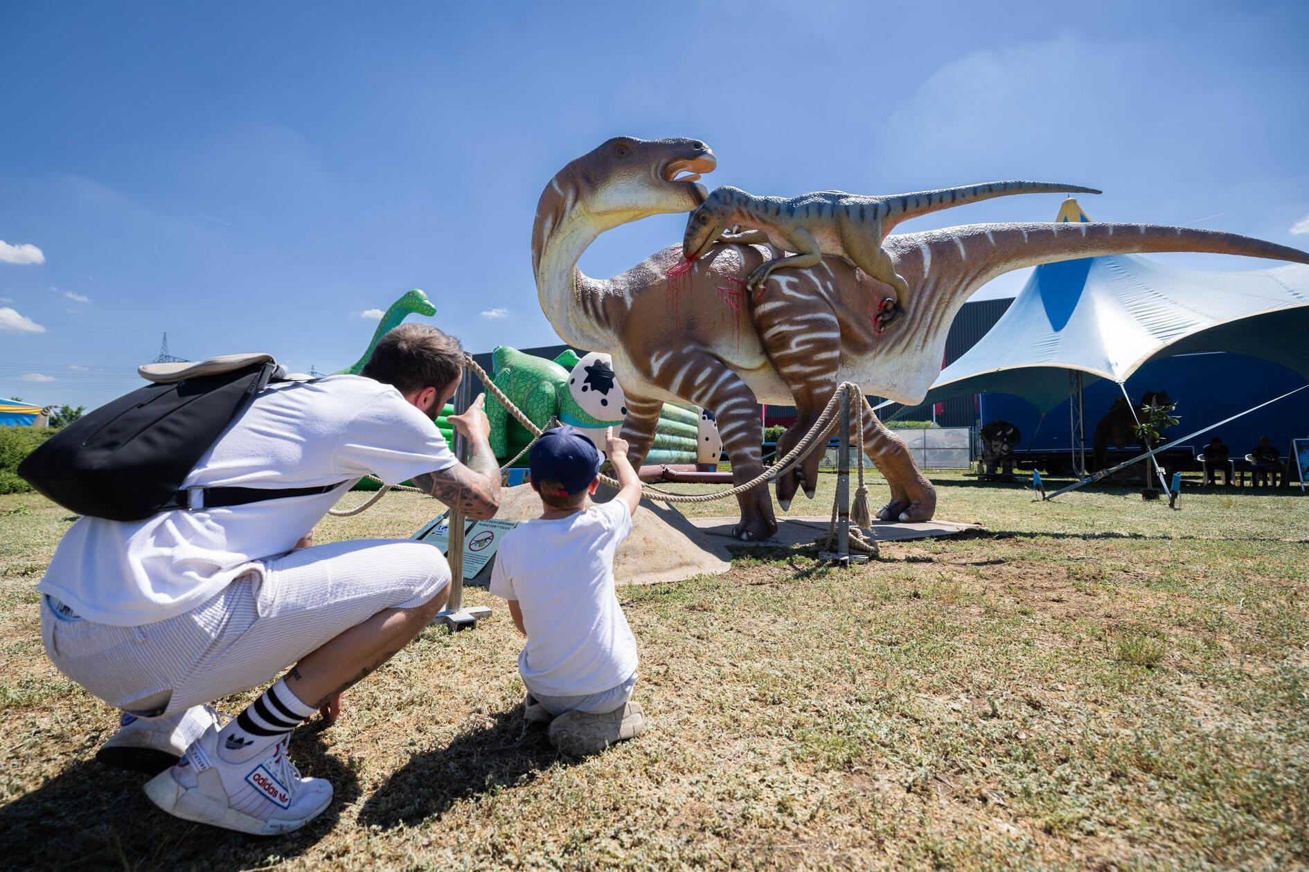260523_tih_dino-7