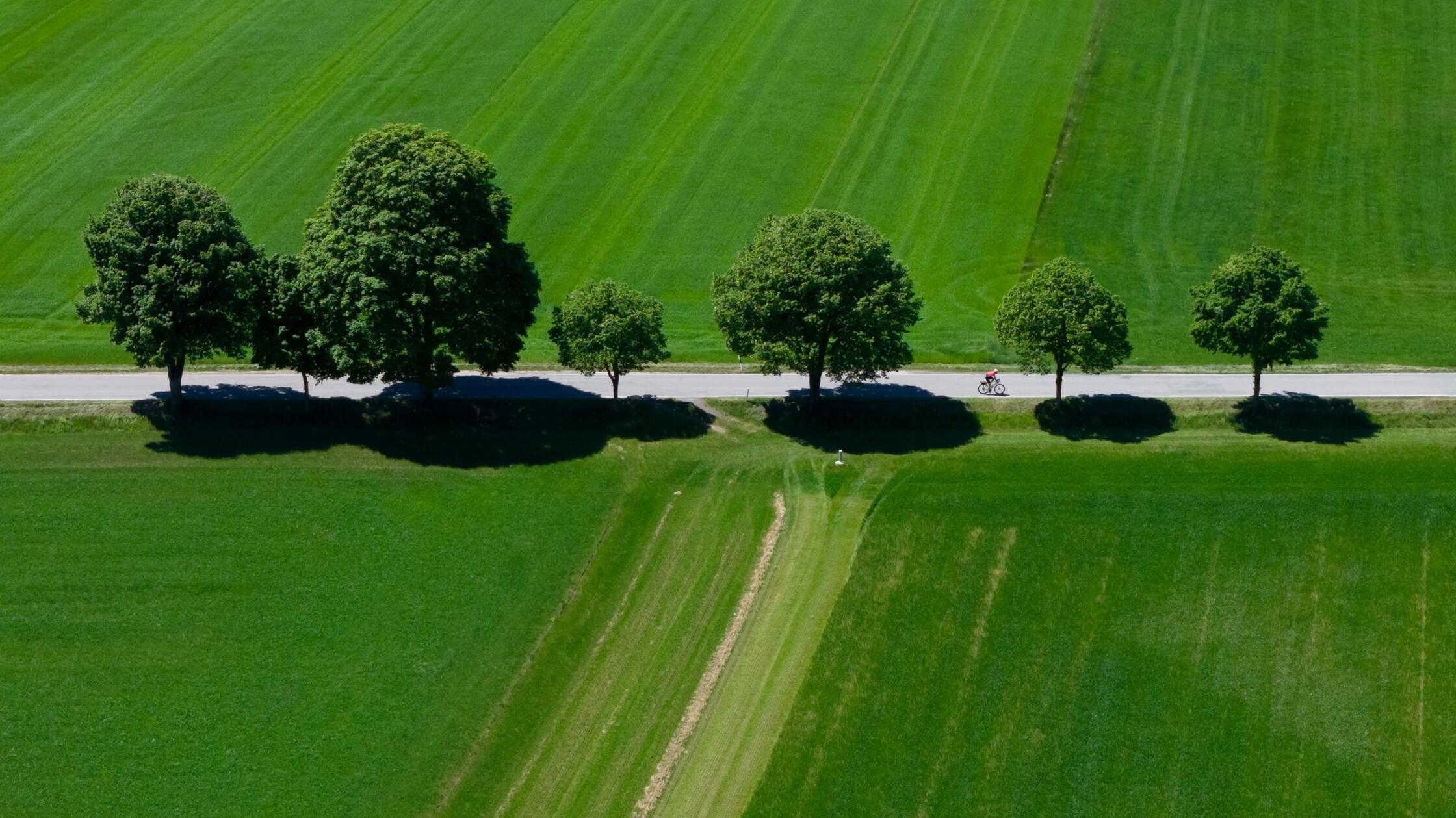 Ein Fahrradfahrer fährt in der Sonne über eine Lan