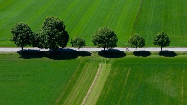 Ein Fahrradfahrer fährt in der Sonne über eine Lan