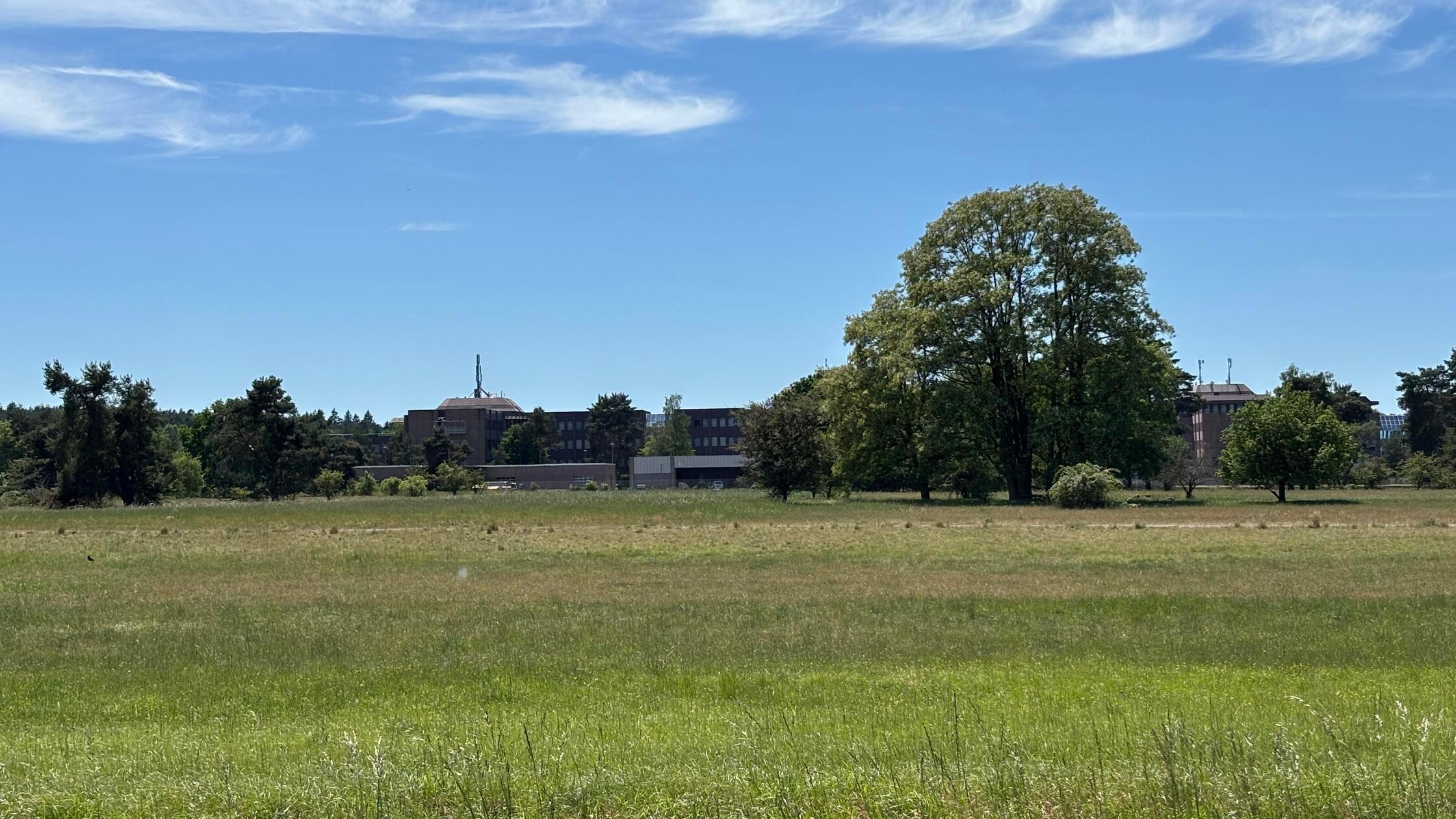 Moorenbrunnfeld