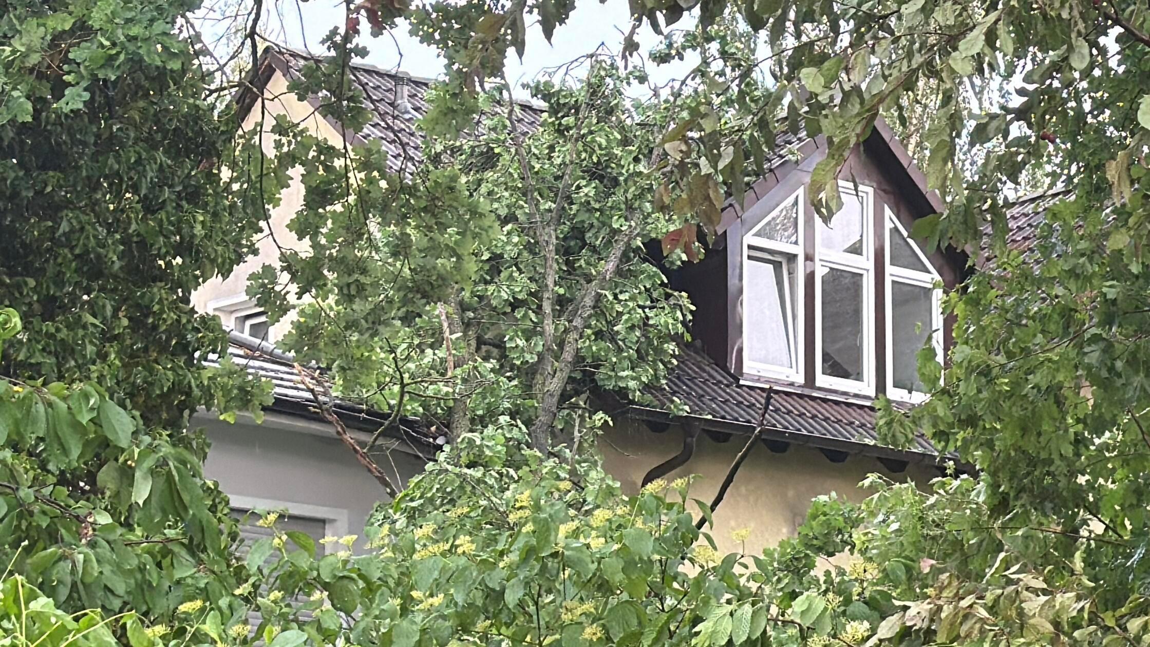 Im Raum Schwabach-Limbach sind dabei mehrere Bäume abgeknickt und beschädigten Wohnhäuser.