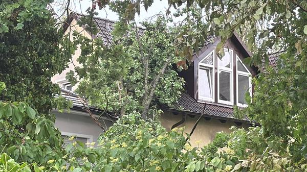 Im Raum Schwabach-Limbach sind dabei mehrere Bäume abgeknickt und beschädigten Wohnhäuser.
