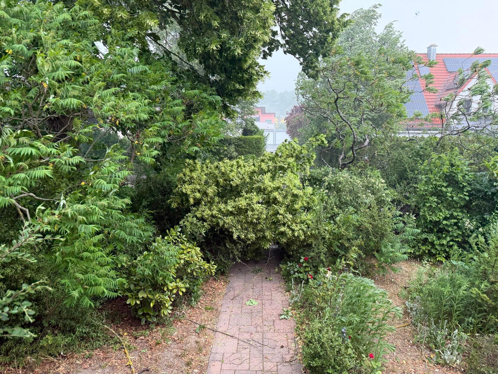 Besonders gefährlich sind dabei sogenannte Downbursts: Lokale Fallwinde, die beim Auftreffen auf den Boden mit hoher Geschwindigkeit in alle Richtungen auseinanderströmen und ähnlich zerstörerisch wie kleinere Tornados wirken können.
