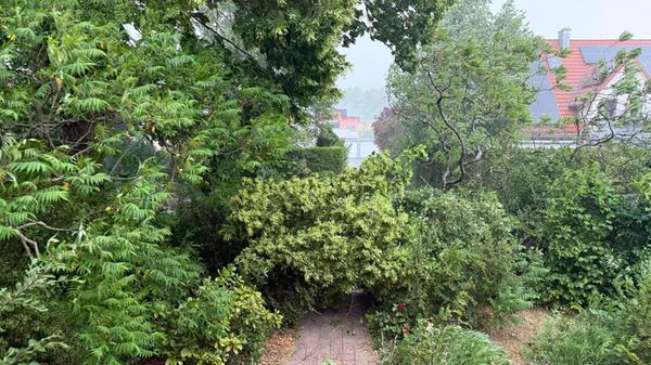 Besonders gefährlich sind dabei sogenannte Downbursts: Lokale Fallwinde, die beim Auftreffen auf den Boden mit hoher Geschwindigkeit in alle Richtungen auseinanderströmen und ähnlich zerstörerisch wie kleinere Tornados wirken können.