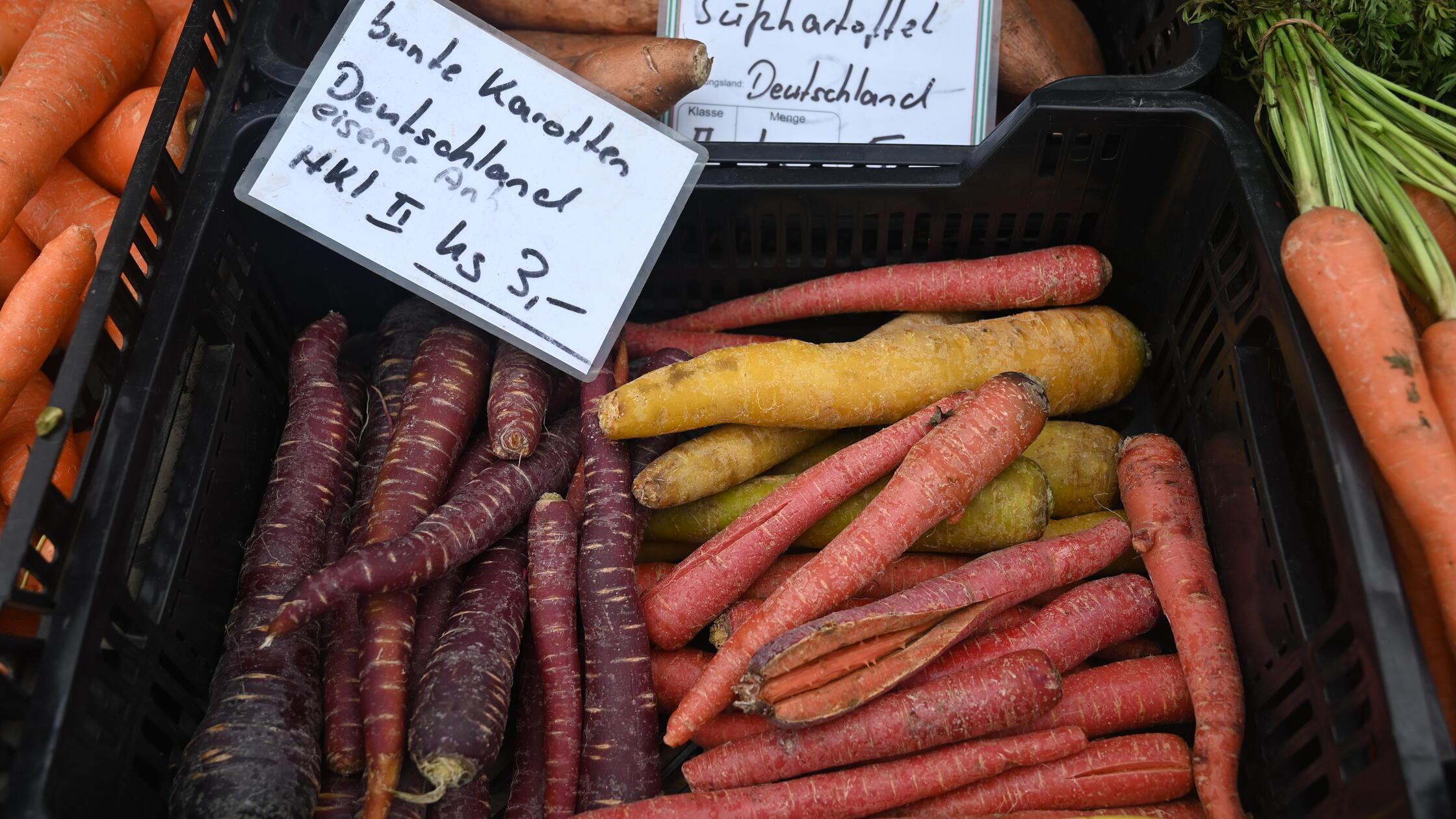 Gunzenhausen Wochenmarkt Blumen Grau Pleinfeld