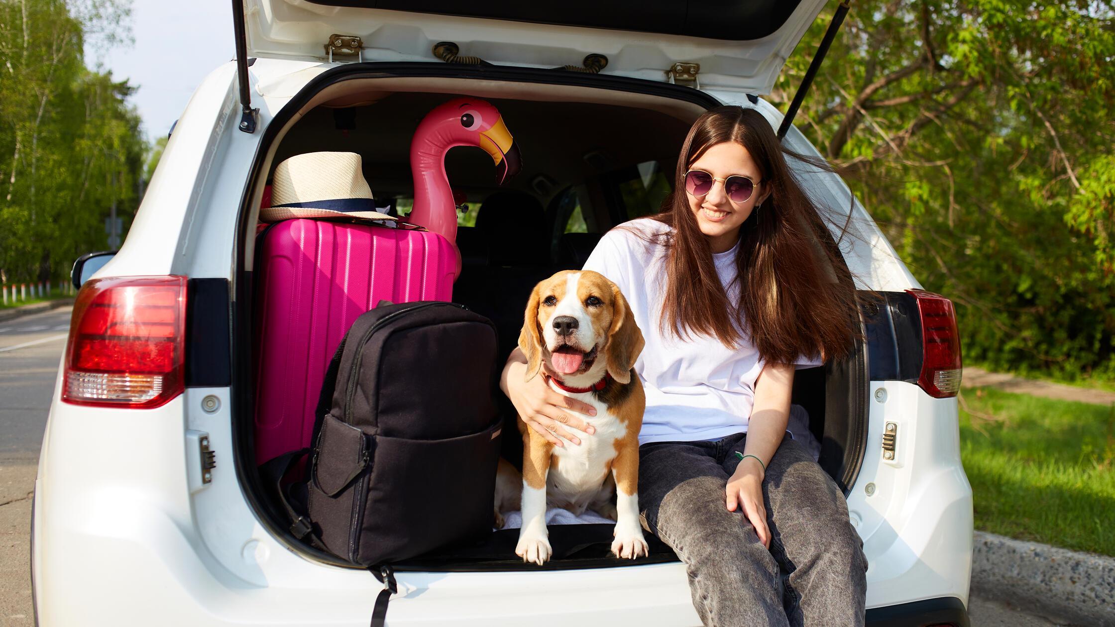 A young girl and a beagle dog are sitting in the t