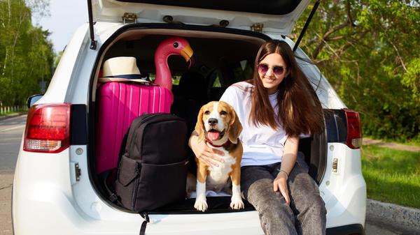 A young girl and a beagle dog are sitting in the t