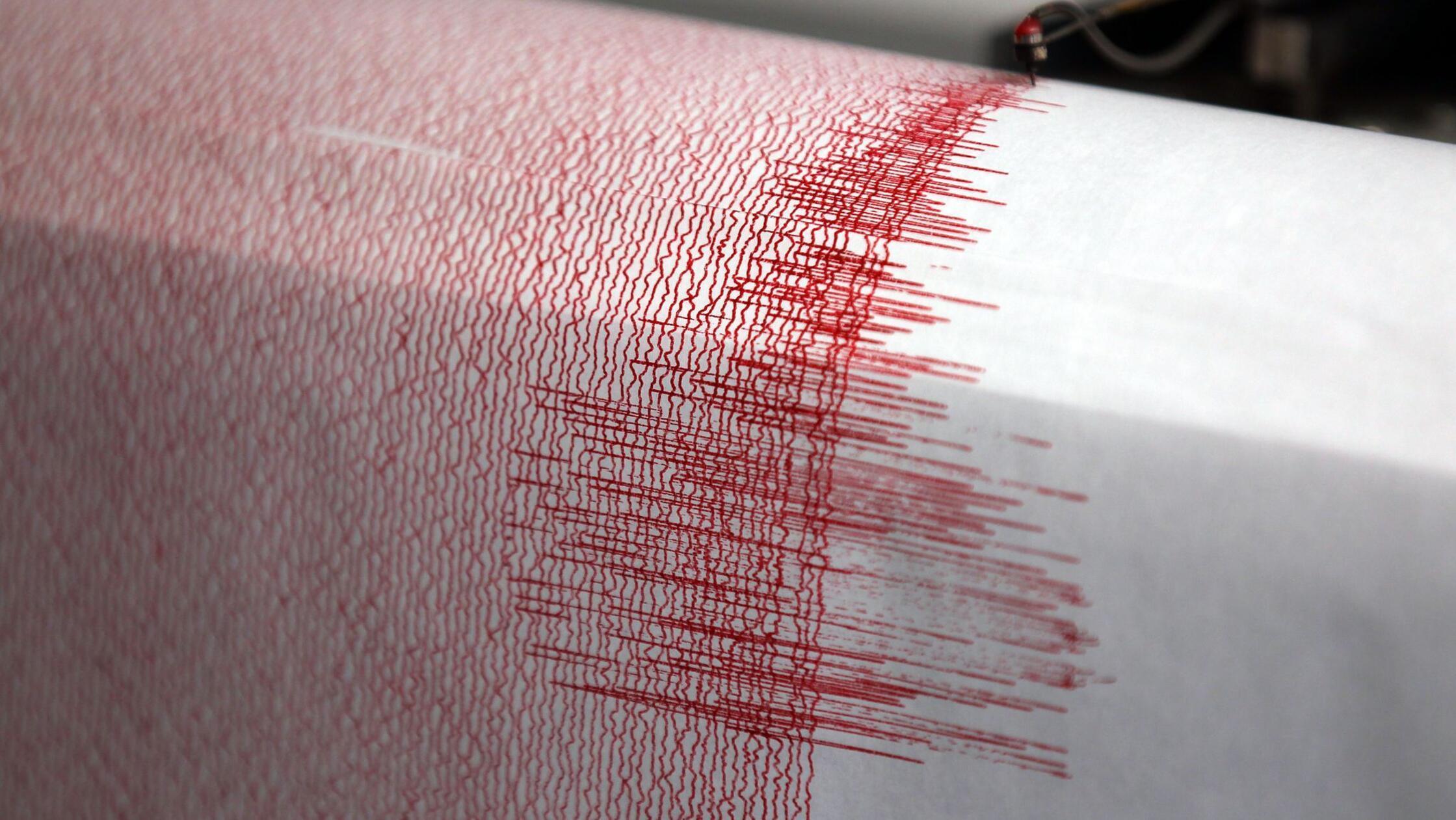 Der Seismograph einer Erdbebenwarte verzeichnet Au