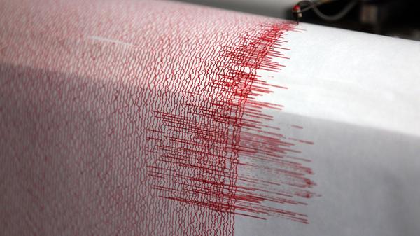 Der Seismograph einer Erdbebenwarte verzeichnet Au