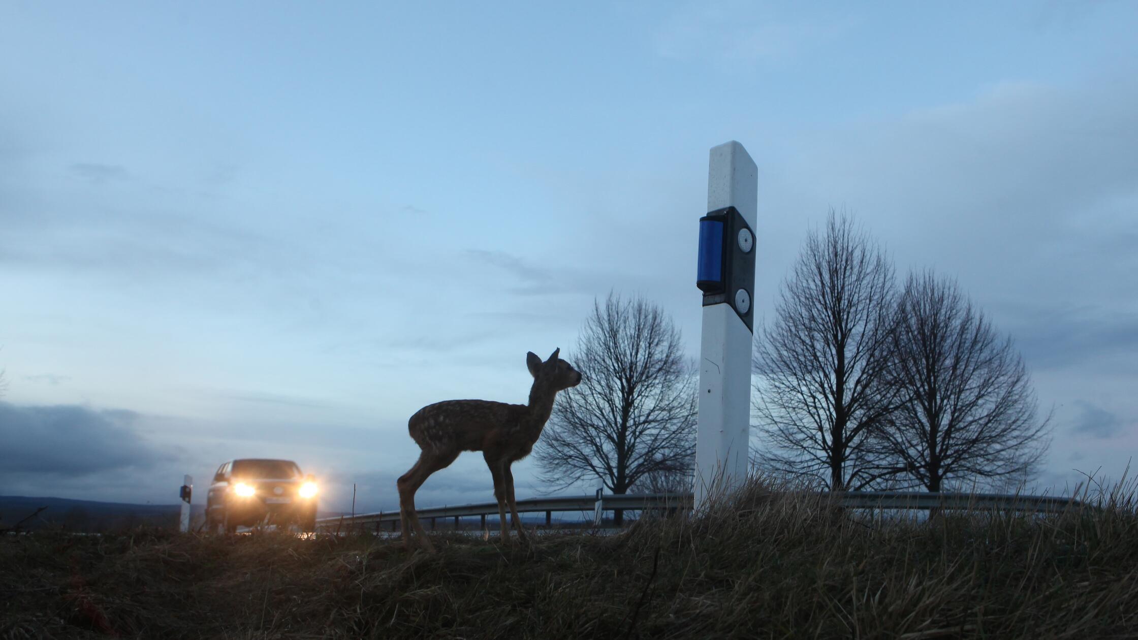 18 guideposts torn out: Police searching for vandals on State Road 2218