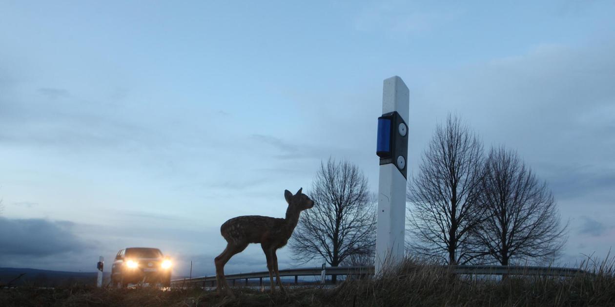 18 guideposts torn out: Police searching for vandals on State Road 2218